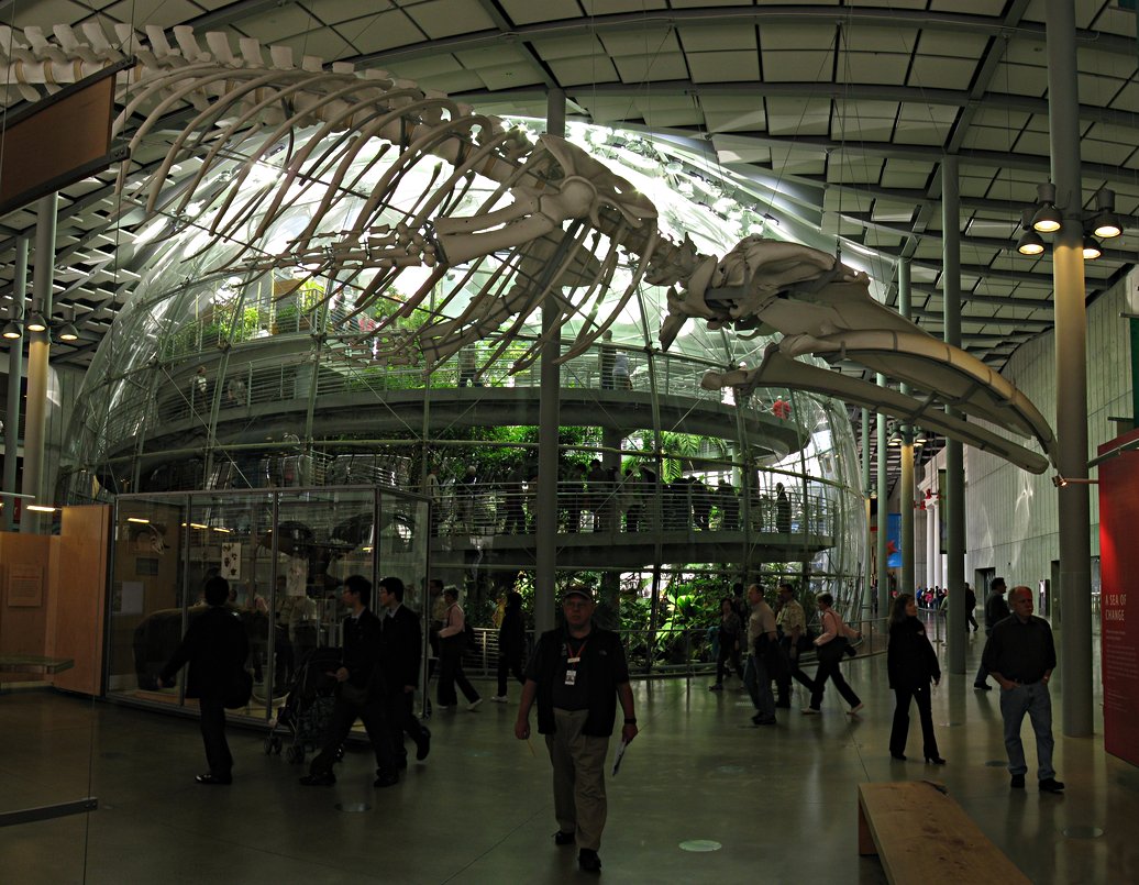 Pano1-Rainforest-Dino.jpg