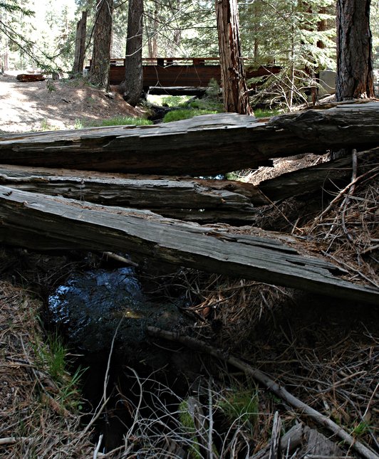 SequoiaNationalMonument-Bridge.jpg